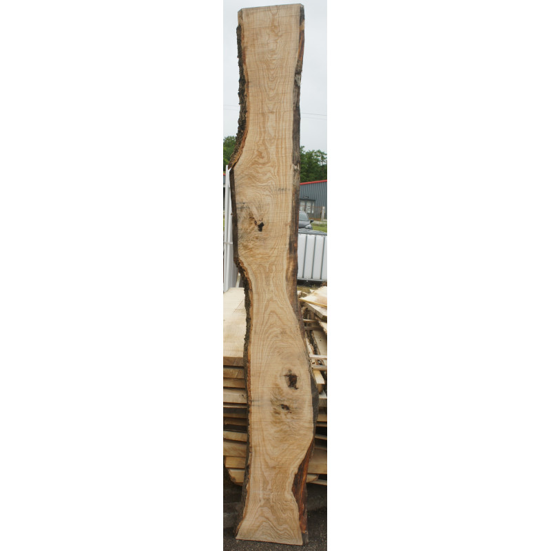 panneau de bois Orme
