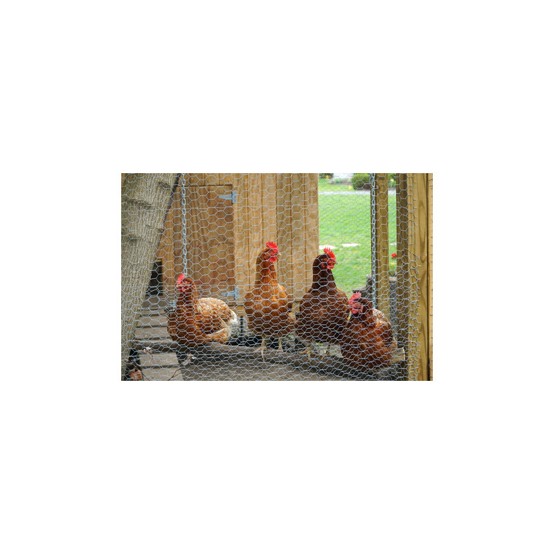 grillage a poules 1,20 mètre