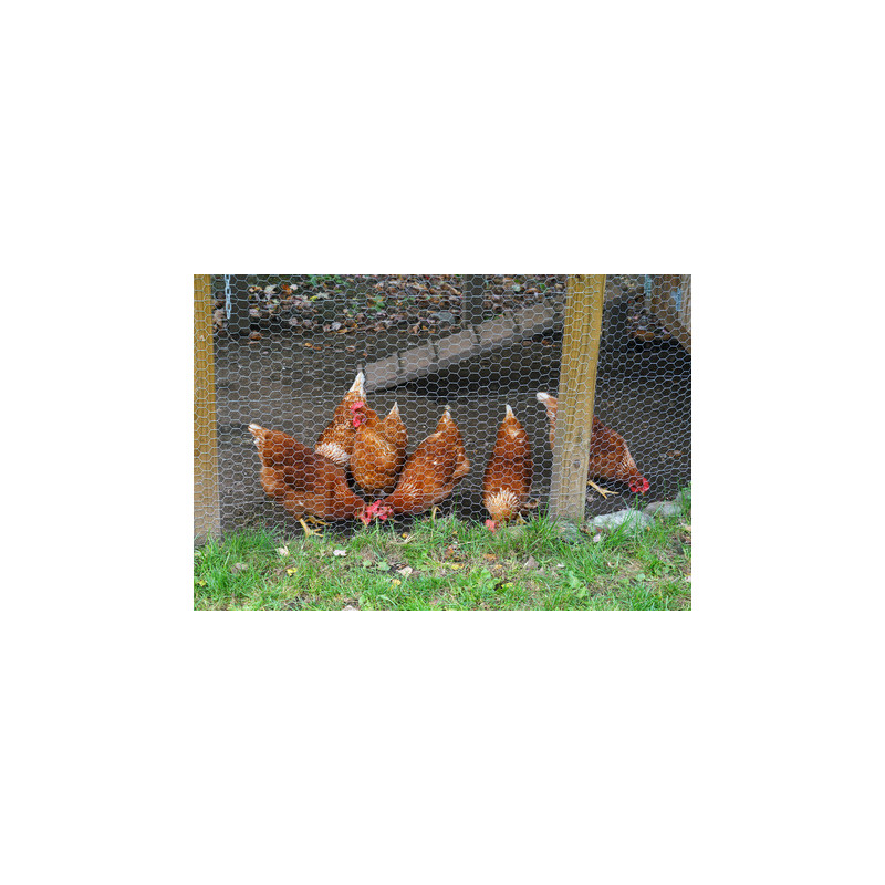 grillage a poules 1,50 mètre