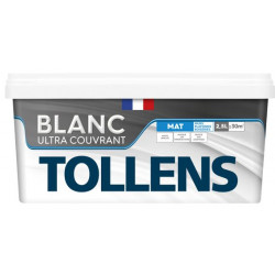 Grand Lot Peinture & Enduits Tollens à Prix Cassés