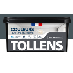 Peinture Intérieure Gris Anthracite Mat 2L Tollens — TO009