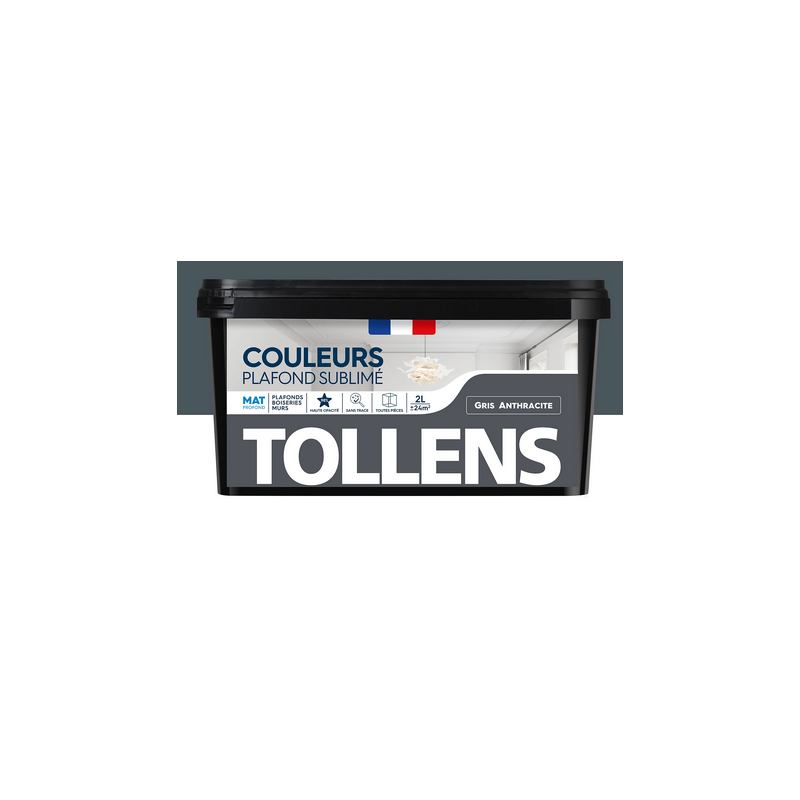 Peinture Intérieure Gris Anthracite Mat 2L Tollens — TO009