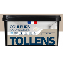 Peinture Intérieure Mat Beige Havane 2L Tollens