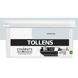 Peinture Instant Gris Satin 5L Tollens — Murs & Boiseries