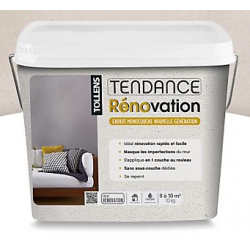 Enduit de Rénovation Tollens Chanvre 10kg Sans Sous-Couche | Fin de chantier